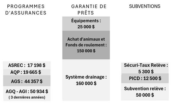 Détails de la stratégie de l’entreprise et des interventions des programmes de la FADQ