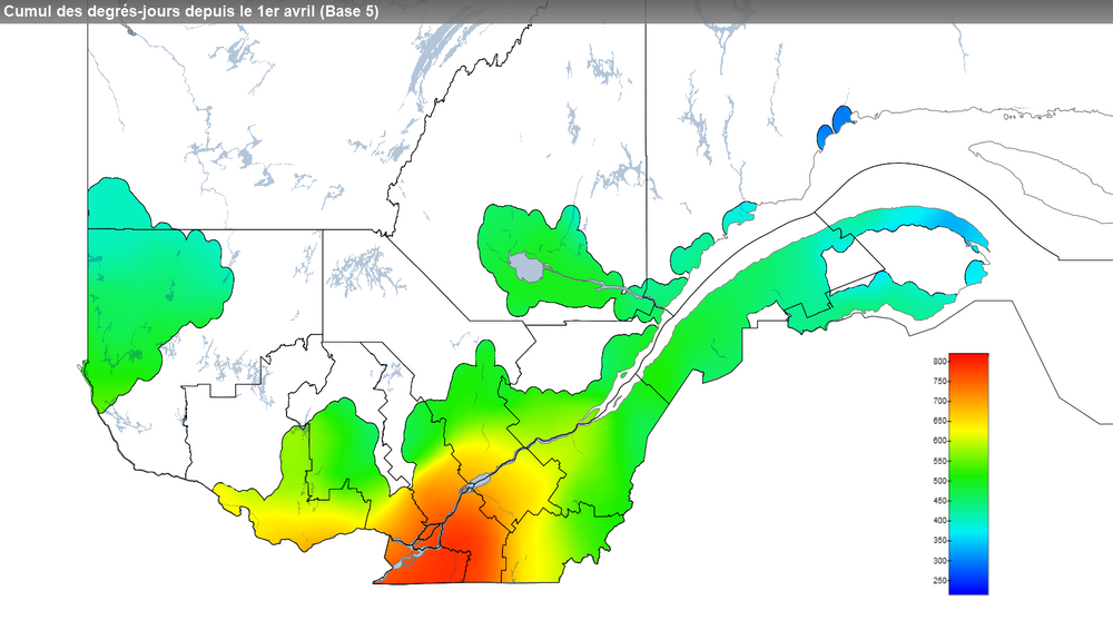 Ce graphique provient du site Agrométéo Québec. Il présente la cumulation des degrés-jours à partir du premier avril (base 5 degrés). Pour obtenir des informations plus précises, visitez le site d'Agrométéo Québec à partir du lien suivant ce graphique.