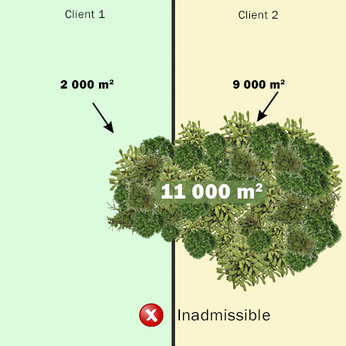 Un îlot boisé mitoyen entre deux clients n’est pas admissible si sa superficie totale est supérieure ou égale à 10 000 m2 et si la superficie présente chez au moins un des clients est supérieure à 5 000 m2.