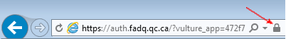 Image the browser address to Internet Explorer.