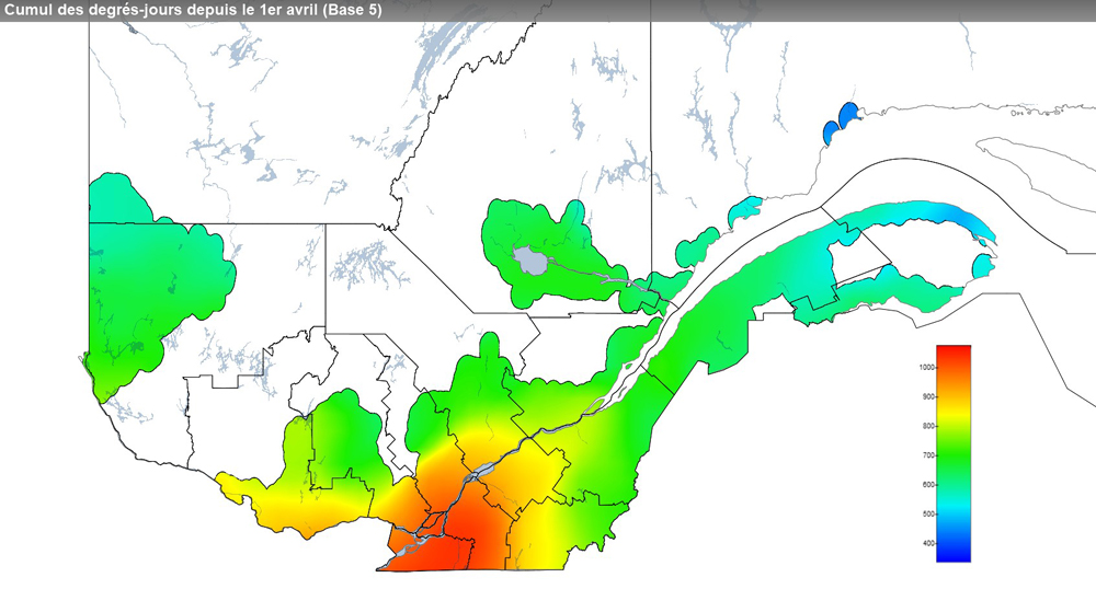 Ce graphique provient du site Agrométéo Québec. Il présente la cumulation des degrés-jours à partir du premier avril (base 5 degrés). Pour obtenir des informations plus précises, visitez le site d'Agrométéo Québec à partir du lien suivant ce graphique.