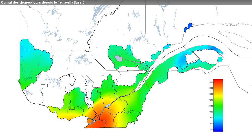 Ce graphique provient du site Agrométéo Québec. Il présente la cumulation des degrés-jours à partir du premier avril (base 5 degrés). Pour obtenir des informations plus précises, visitez le site d'Agrométéo Québec à partir du lien suivant ce graphique.