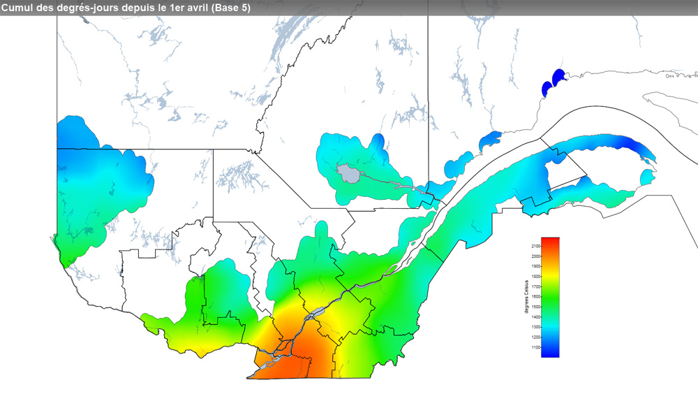 Ce graphique provient du site Agrométéo Québec. Il présente la cumulation des degrés-jours à partir du premier avril (base 5 degrés). Pour obtenir des informations plus précises, visitez le site d'Agrométéo Québec à partir du lien suivant ce graphique.