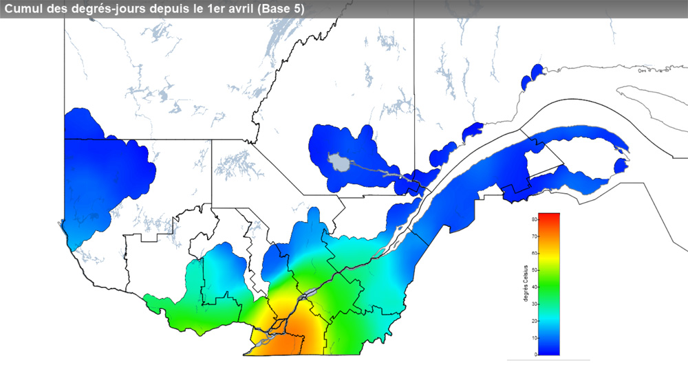 Ce graphique provient du site Agrométéo Québec. Il présente la cumulation des degrés-jours à partir du premier avril (base 5 degrés). Pour obtenir des informations plus précises, visitez le site d'Agrométéo Québec à partir du lien suivant ce graphique.