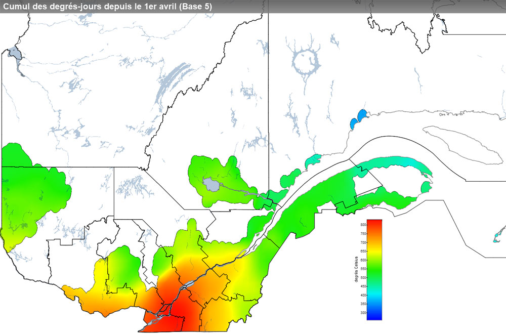 Ce graphique provient du site Agrométéo Québec. Il présente la cumulation des degrés-jours à partir du premier avril (base 5 degrés). Pour obtenir des informations plus précises, visitez le site d'Agrométéo Québec à partir du lien suivant ce graphique.