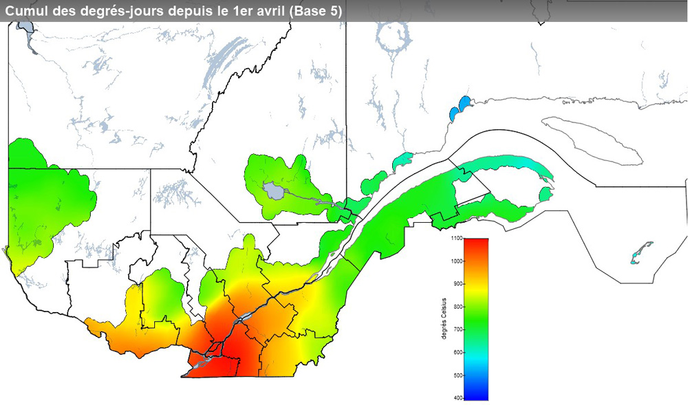 Ce graphique provient du site Agrométéo Québec. Il présente la cumulation des degrés-jours à partir du premier avril (base 5 degrés). Pour obtenir des informations plus précises, visitez le site d'Agrométéo Québec à partir du lien suivant ce graphique.