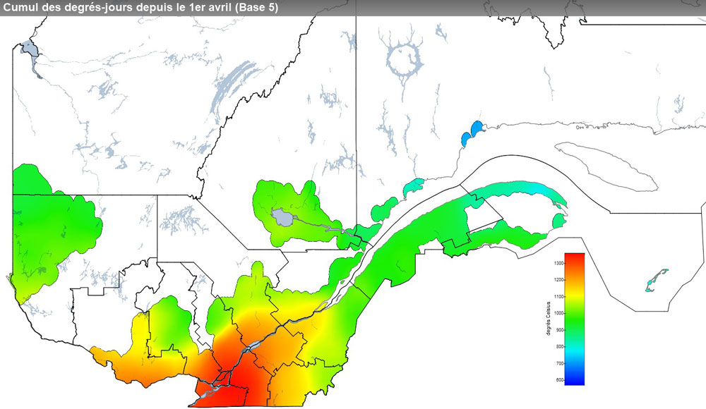 Ce graphique provient du site Agrométéo Québec. Il présente la cumulation des degrés-jours à partir du premier avril (base 5 degrés). Pour obtenir des informations plus précises, visitez le site d'Agrométéo Québec à partir du lien suivant ce graphique.