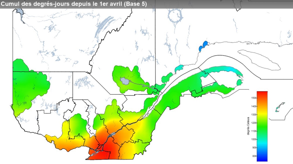 Ce graphique provient du site Agrométéo Québec. Il présente la cumulation des degrés-jours à partir du premier avril (base 5 degrés). Pour obtenir des informations plus précises, visitez le site d'Agrométéo Québec à partir du lien suivant ce graphique.