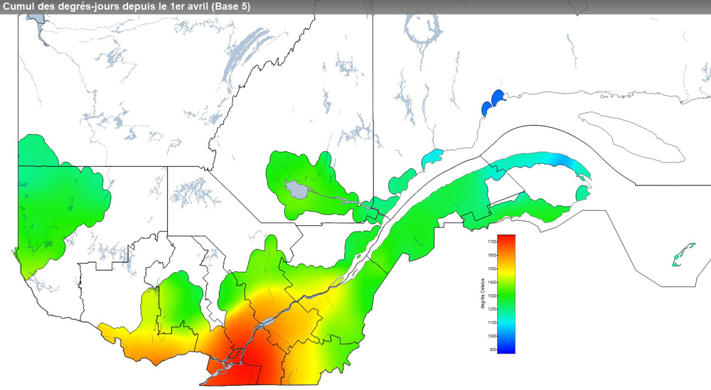 Ce graphique provient du site Agrométéo Québec. Il présente la cumulation des degrés-jours à partir du premier avril (base 5 degrés). Pour obtenir des informations plus précises, visitez le site d'Agrométéo Québec à partir du lien suivant ce graphique.