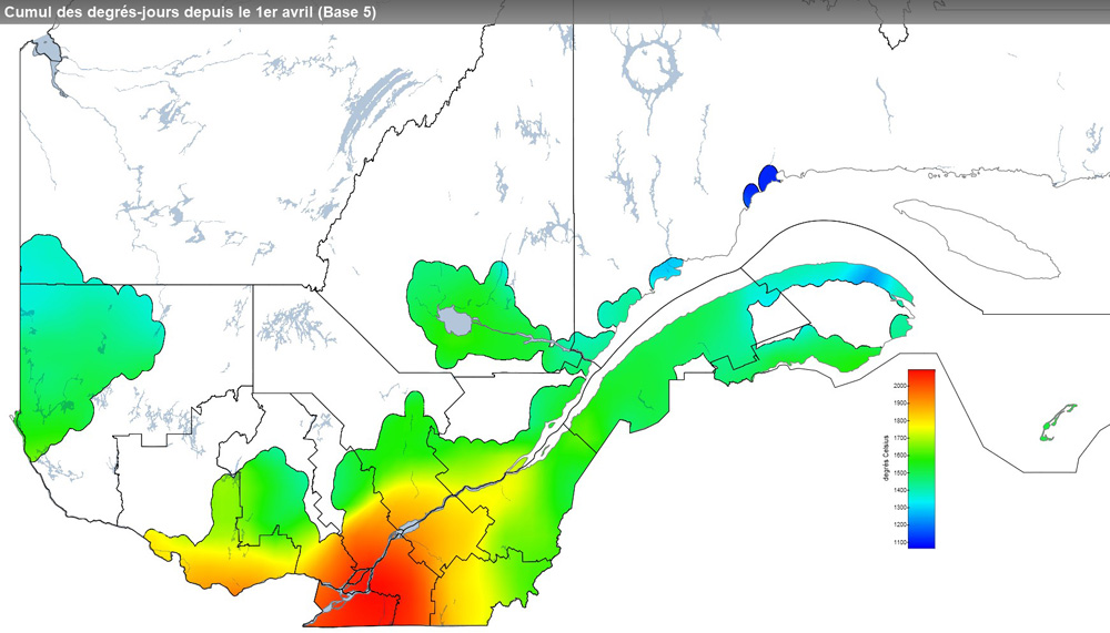 Ce graphique provient du site Agrométéo Québec. Il présente la cumulation des degrés-jours à partir du premier avril (base 5 degrés). Pour obtenir des informations plus précises, visitez le site d'Agrométéo Québec à partir du lien suivant ce graphique.