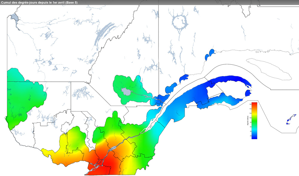 Ce graphique provient du site Agrométéo Québec. Il présente la cumulation des degrés-jours à partir du premier avril (base 5 degrés). Pour obtenir des informations plus précises, visitez le site d'Agrométéo Québec à partir du lien suivant ce graphique.