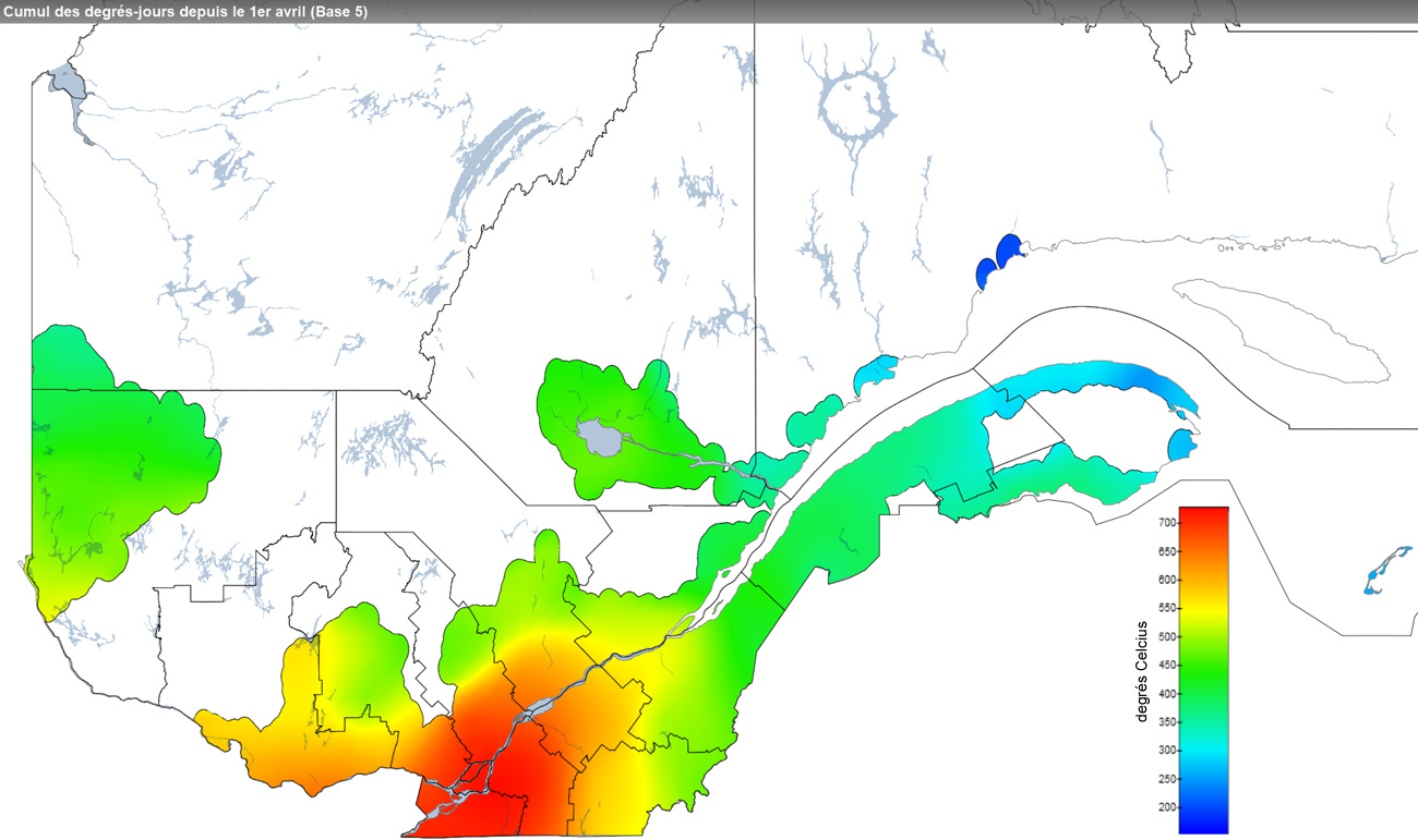 Ce graphique provient du site Agrométéo Québec. Il présente la cumulation des degrés-jours à partir du premier avril (base 5 degrés). Pour obtenir des informations plus précises, visitez le site d'Agrométéo Québec à partir du lien suivant ce graphique.