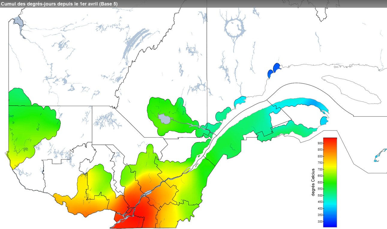 Ce graphique provient du site Agrométéo Québec. Il présente la cumulation des degrés-jours à partir du premier avril (base 5 degrés). Pour obtenir des informations plus précises, visitez le site d'Agrométéo Québec à partir du lien suivant ce graphique.