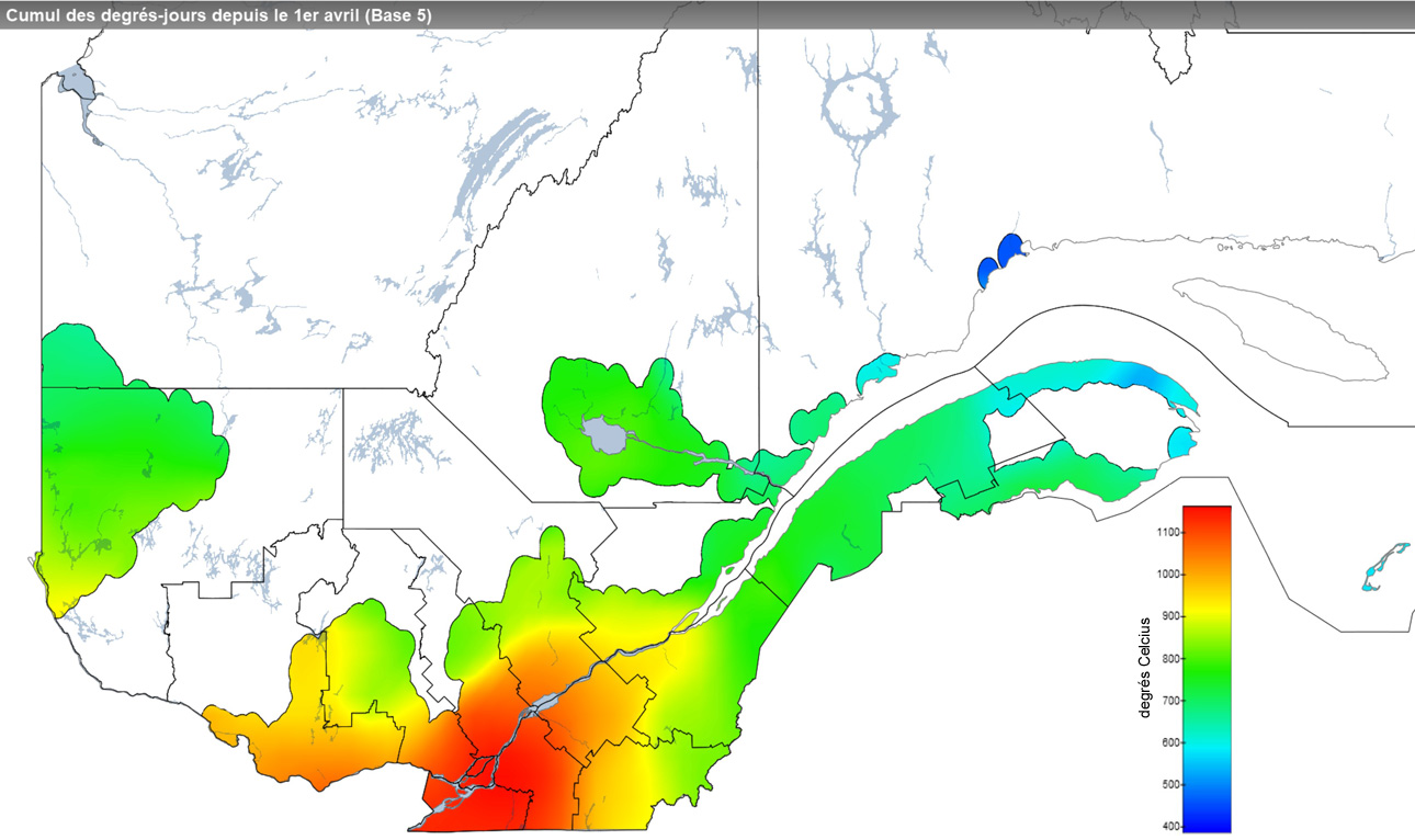 Ce graphique provient du site Agrométéo Québec. Il présente la cumulation des degrés-jours à partir du premier avril (base 5 degrés). Pour obtenir des informations plus précises, visitez le site d'Agrométéo Québec à partir du lien suivant ce graphique.