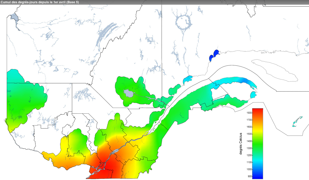 Ce graphique provient du site Agrométéo Québec. Il présente la cumulation des degrés-jours à partir du premier avril (base 5 degrés). Pour obtenir des informations plus précises, visitez le site d'Agrométéo Québec à partir du lien suivant ce graphique.