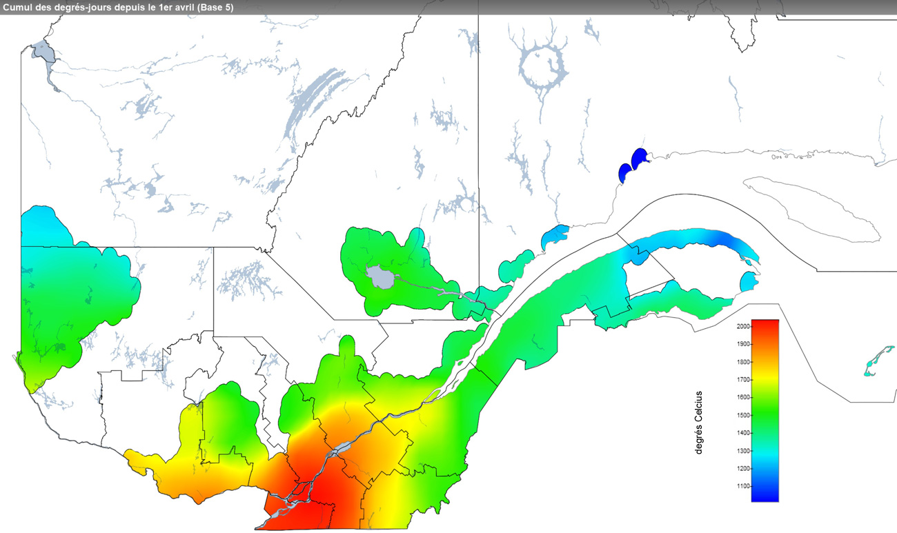 Ce graphique provient du site Agrométéo Québec. Il présente la cumulation des degrés-jours à partir du premier avril (base 5 degrés). Pour obtenir des informations plus précises, visitez le site d'Agrométéo Québec à partir du lien suivant ce graphique.