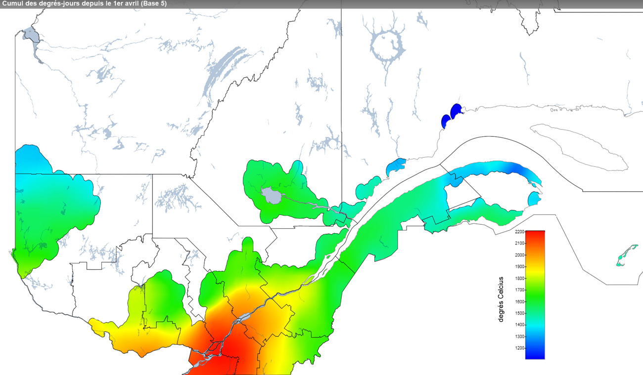 Ce graphique provient du site Agrométéo Québec. Il présente la cumulation des degrés-jours à partir du premier avril (base 5 degrés). Pour obtenir des informations plus précises, visitez le site d'Agrométéo Québec à partir du lien suivant ce graphique.