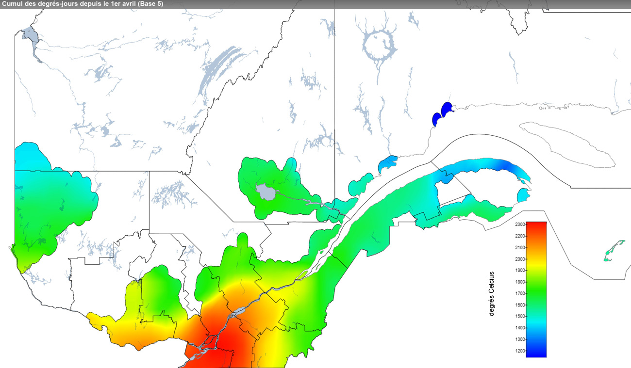 Ce graphique provient du site Agrométéo Québec. Il présente la cumulation des degrés-jours à partir du premier avril (base 5 degrés). Pour obtenir des informations plus précises, visitez le site d'Agrométéo Québec à partir du lien suivant ce graphique.