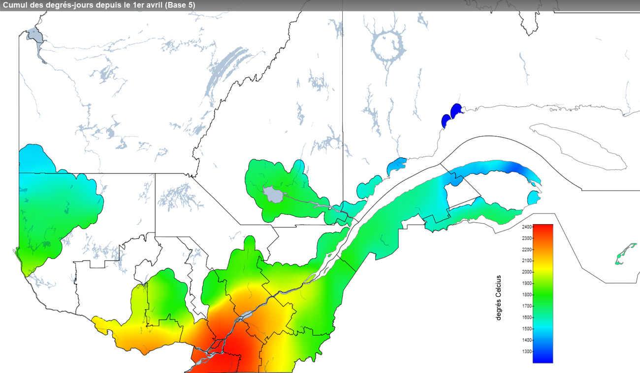 Ce graphique provient du site Agrométéo Québec. Il présente la cumulation des degrés-jours à partir du premier avril (base 5 degrés). Pour obtenir des informations plus précises, visitez le site d'Agrométéo Québec à partir du lien suivant ce graphique.