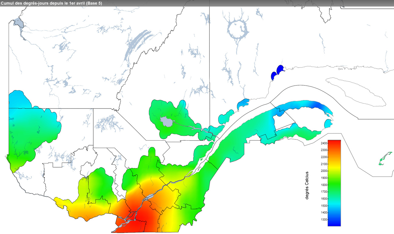 Ce graphique provient du site Agrométéo Québec. Il présente la cumulation des degrés-jours à partir du premier avril (base 5 degrés). Pour obtenir des informations plus précises, visitez le site d'Agrométéo Québec à partir du lien suivant ce graphique.