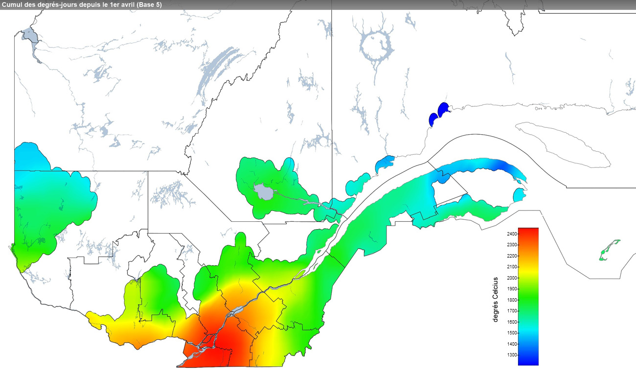 Ce graphique provient du site Agrométéo Québec. Il présente la cumulation des degrés-jours à partir du premier avril pour la saison 2021 (base 5 degrés). Pour obtenir des informations plus précises, visitez le site d'Agrométéo Québec à partir du lien suivant ce graphique.