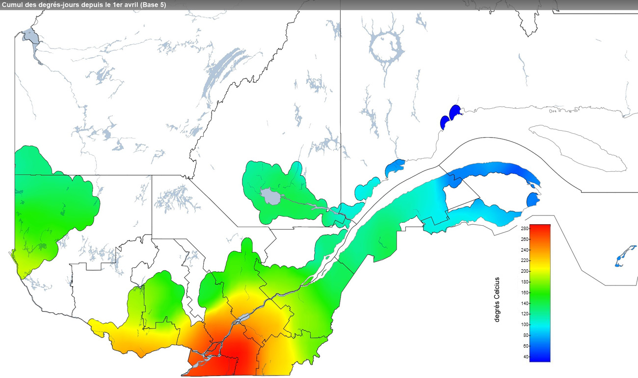 Ce graphique provient du site Agrométéo Québec. Il présente la cumulation des degrés-jours à partir du premier avril (base 5 degrés). Pour obtenir des informations plus précises, visitez le site d'Agrométéo Québec à partir du lien suivant ce graphique.