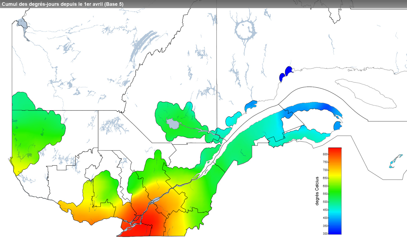 Ce graphique provient du site Agrométéo Québec. Il présente la cumulation des degrés-jours à partir du premier avril (base 5 degrés). Pour obtenir des informations plus précises, visitez le site d'Agrométéo Québec à partir du lien suivant ce graphique.