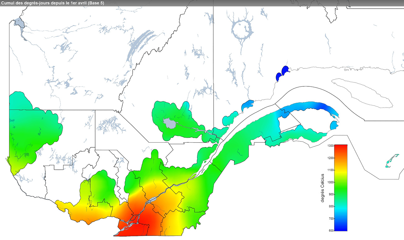 Ce graphique provient du site Agrométéo Québec. Il présente la cumulation des degrés-jours à partir du premier avril (base 5 degrés). Pour obtenir des informations plus précises, visitez le site d'Agrométéo Québec à partir du lien suivant ce graphique.