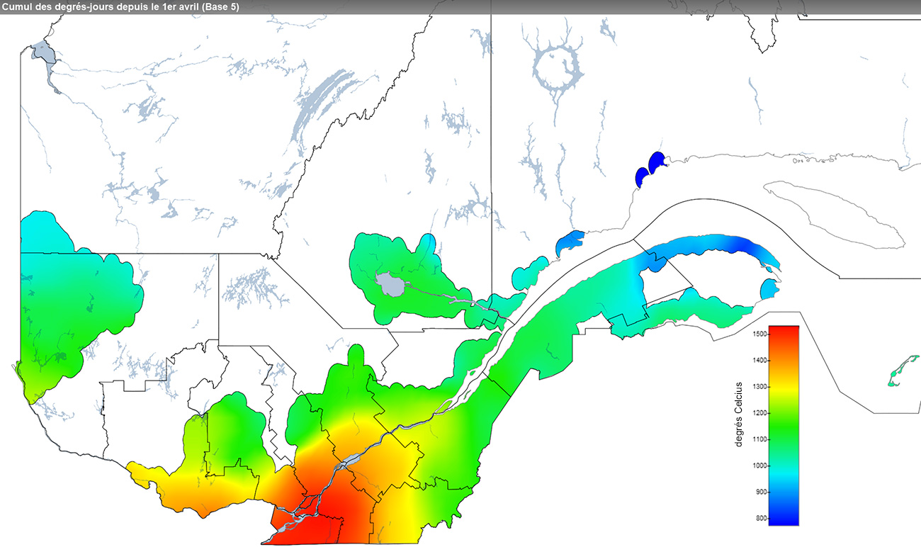 Ce graphique provient du site Agrométéo Québec. Il présente la cumulation des degrés-jours à partir du premier avril (base 5 degrés). Pour obtenir des informations plus précises, visitez le site d'Agrométéo Québec à partir du lien suivant ce graphique.