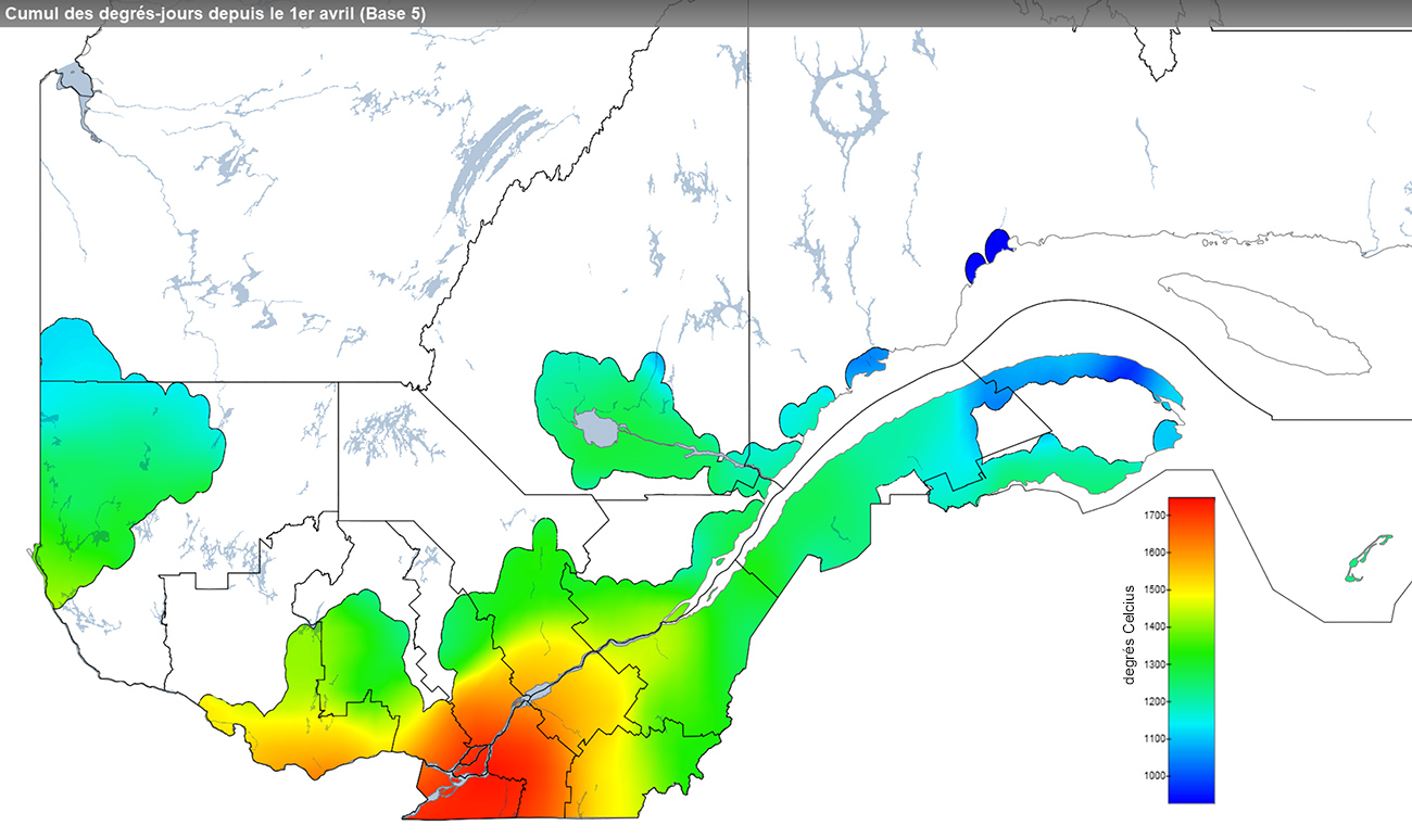 Ce graphique provient du site Agrométéo Québec. Il présente la cumulation des degrés-jours à partir du premier avril (base 5 degrés). Pour obtenir des informations plus précises, visitez le site d'Agrométéo Québec à partir du lien suivant ce graphique.