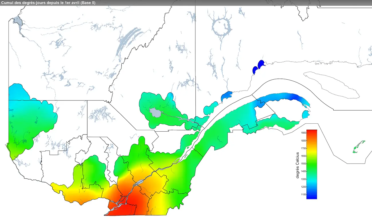 Ce graphique provient du site Agrométéo Québec. Il présente la cumulation des degrés-jours à partir du premier avril (base 5 degrés). Pour obtenir des informations plus précises, visitez le site d'Agrométéo Québec à partir du lien suivant ce graphique.