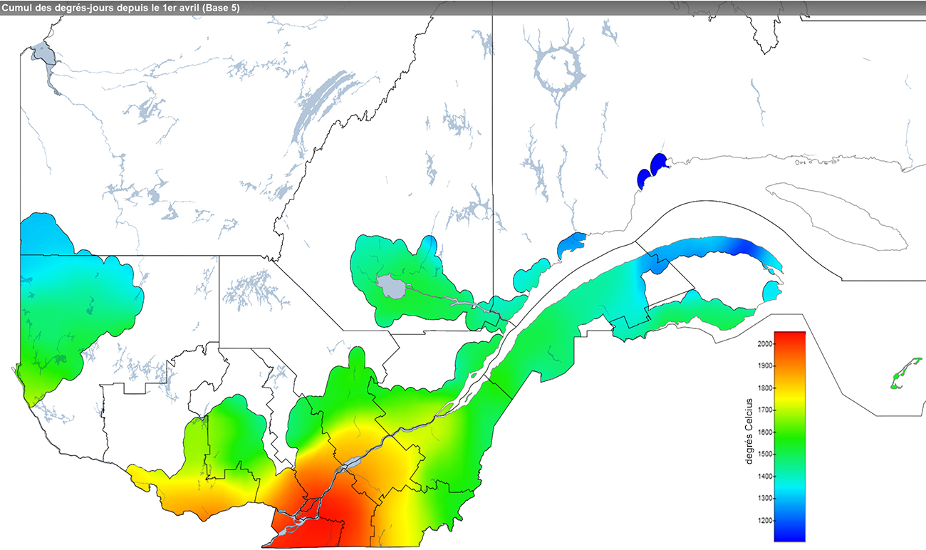 Ce graphique provient du site Agrométéo Québec. Il présente la cumulation des degrés-jours à partir du premier avril (base 5 degrés). Pour obtenir des informations plus précises, visitez le site d'Agrométéo Québec à partir du lien suivant ce graphique.