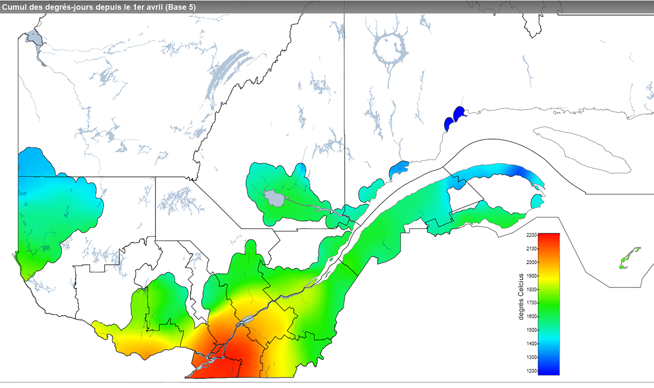 Ce graphique provient du site Agrométéo Québec. Il présente la cumulation des degrés-jours à partir du premier avril (base 5 degrés). Pour obtenir des informations plus précises, visitez le site d'Agrométéo Québec à partir du lien suivant ce graphique.