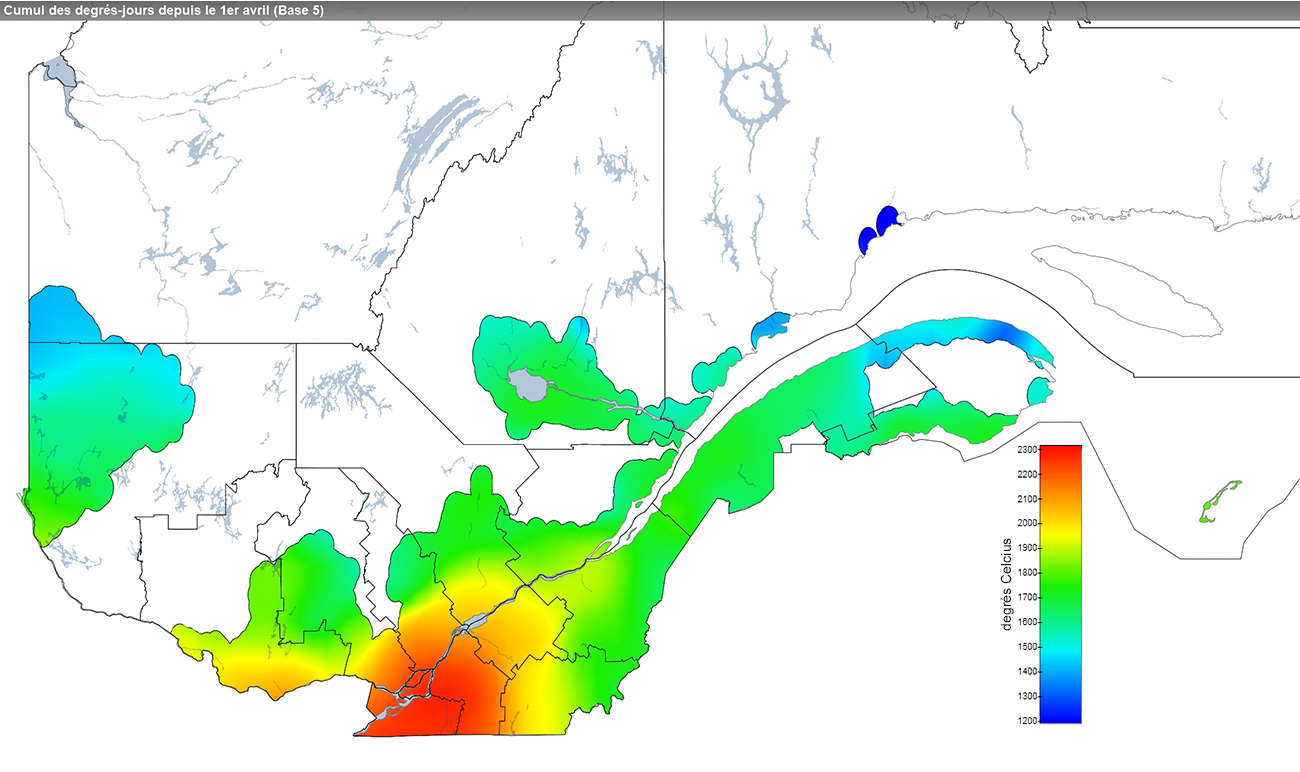 Ce graphique provient du site Agrométéo Québec. Il présente la cumulation des degrés-jours à partir du premier avril (base 5 degrés). Pour obtenir des informations plus précises, visitez le site d'Agrométéo Québec à partir du lien suivant ce graphique.