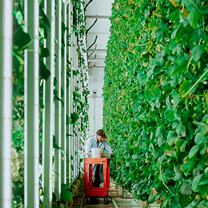 Image présentant les installations de Ferme d'Hiver.