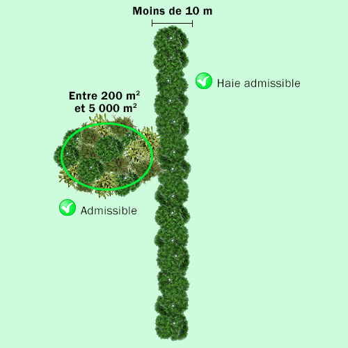 L’îlot boisé admissible, d’une superficie de 200 à 5 000 m2, peut être rattaché à un autre type d’aménagement admissible, comme une haie ou une bande riveraine élargie.