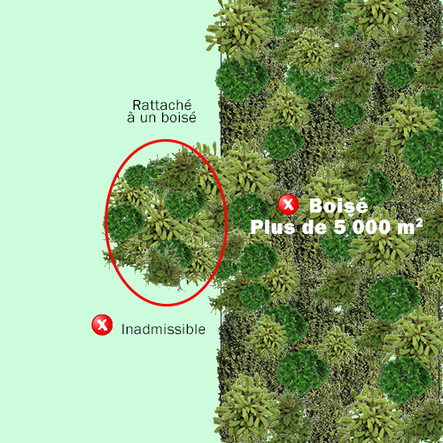 Un îlot boisé n’est pas admissible, même si sa superficie est de 200 à 5 000 m2, s’il est rattaché à un boisé de ferme, à une friche ou à une érablière.