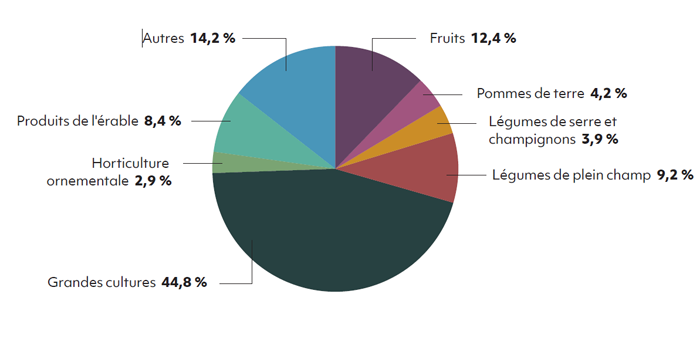 Graphique Répartition des paiements du programme Agri-Québec Plus pour l’année de participation 2019 - voir description ci-dessous.