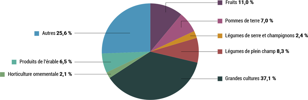 Graphique Répartition des paiements du programme Agri-Québec Plus pour l’année de participation 2020 - voir description ci-dessous.