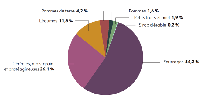 Graphique Répartition des indemnités en assurance récolte pour l’exercice financier 2020-2021 - voir description ci-dessous.