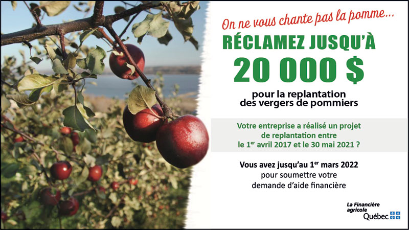 Réclamez jusqu'à 20 000 $ pour la replantation des pommiers. Vous avez jusqu'au 1er mars 2022 pour soumettre votre demande.