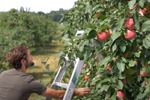 La Financière agricole présente ses garanties de prêts