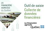 Collecte de données financières - Outil de saisie