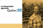 Dossier en ligne : un outil de gestion pour vous