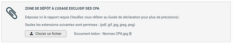 Titre de la section: Zone de dépôt exclusif des CPA, et procédure à suivre : Déposez ici le rapport requis. Veuillez vous référer au Guide de déclaration pour plus de précisions. Seules les extensions pdf, gif, jpg, jpeg et png sont permises. Bouton "Choisir un fichier" au bas, à gauche.